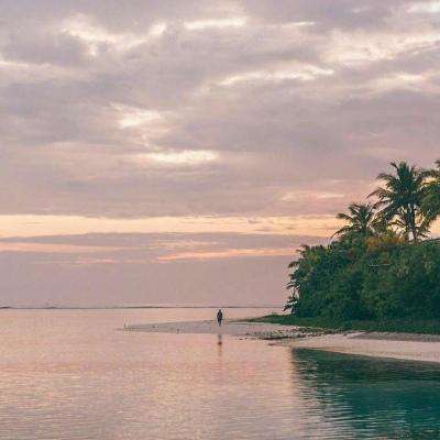 金年会APP下载截图