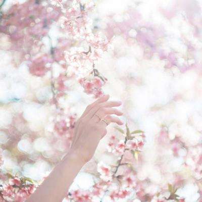 加拿大pc试玩平台